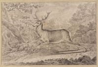 M+ 024
<br/>
Een hert vluchtend door het bos
<br/>
<em>Ridinger, Johann Elias (1698-1767)</em>